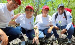 Davivienda protege Manglares mediante sus Seguros Verdes